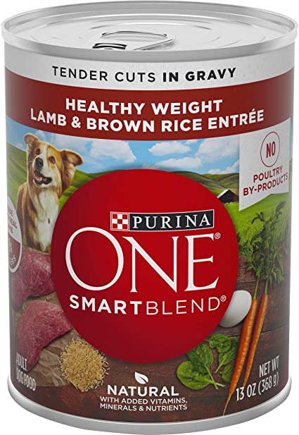 Purina Dog One Lamb & Rice 13.oz