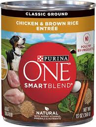 Purina Dog One Chicken & Brown Rice 13oz