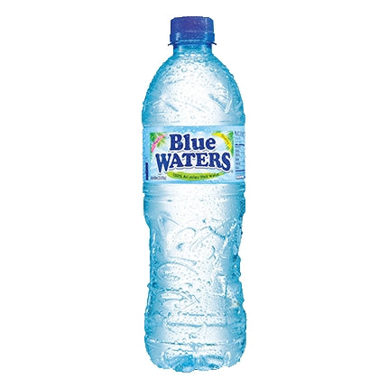 Blue Waters Water Regular 650ml