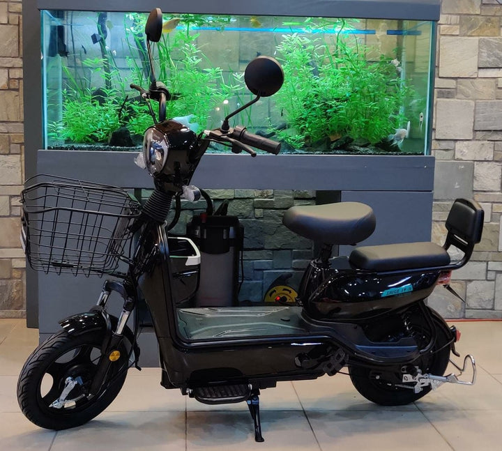 SAIGE Electric Bike Model JY-3 JY-II 12AH Ebike