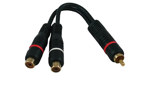 BLASTKING Lead 1 Rca M - 2 Rca F Y 12" I SC430BYG-12-BLK