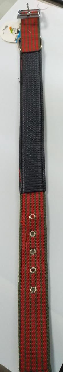 GT PET Dog Collar Canvas 26" X 1.75"