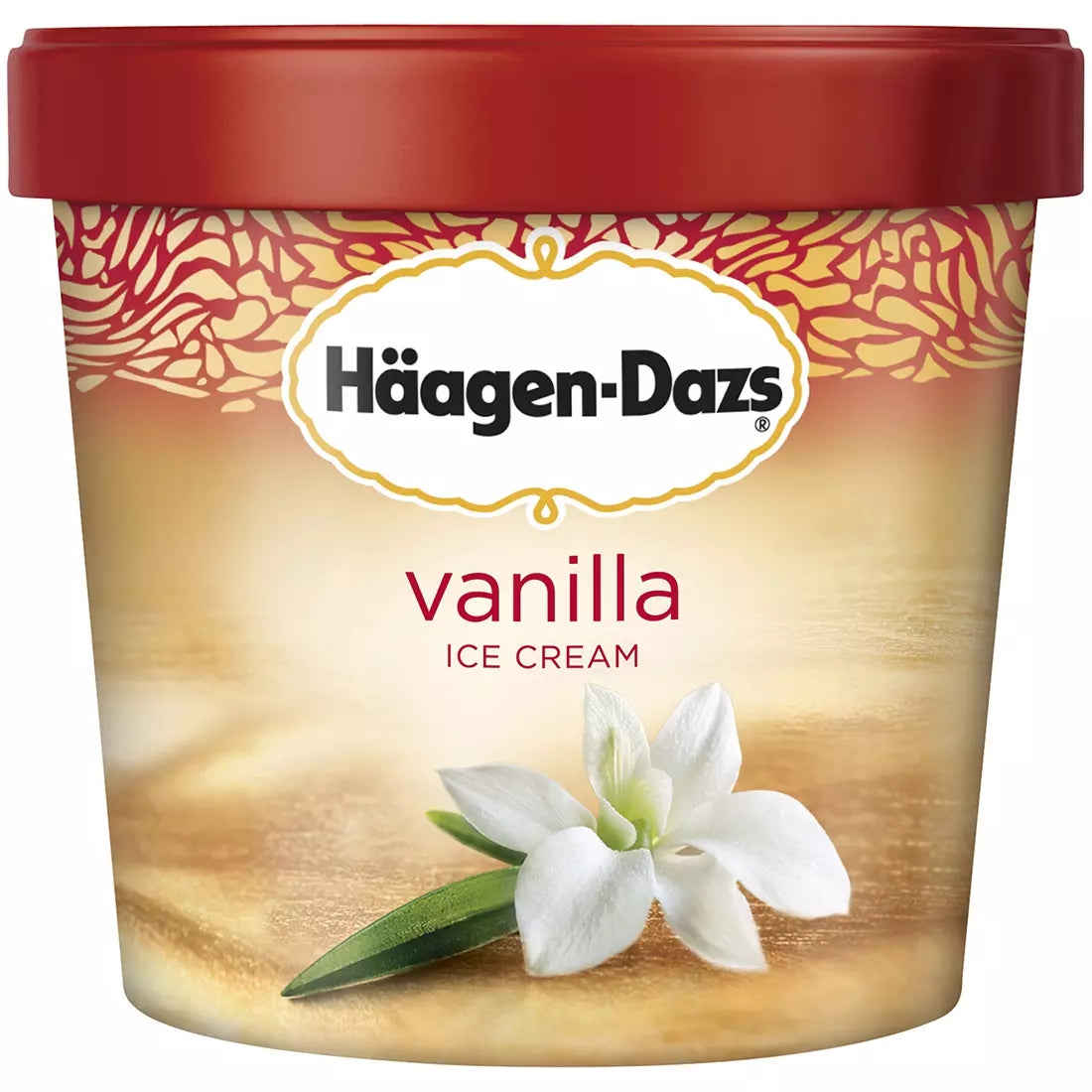 H Dazs Ice Cream Vanilla 1/2gal