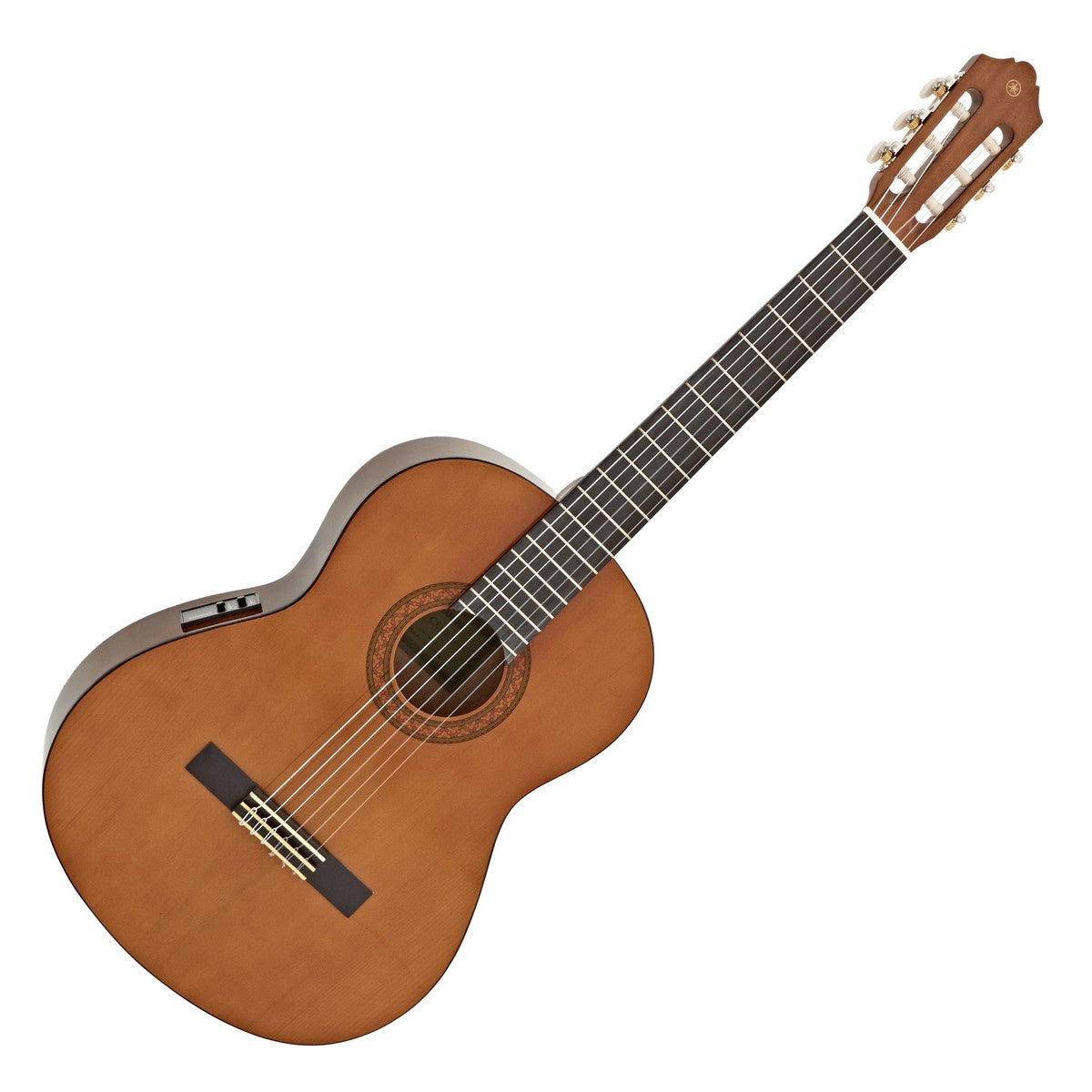 YAMAHA Guitar Box CX40