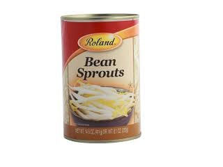 Bean Sprouts Roland 411g