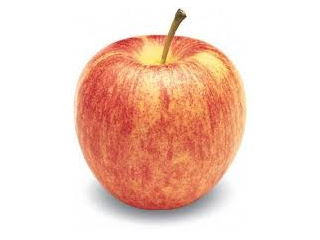 Apple Gala Imported /Ea