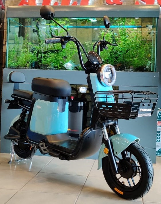 SAIGE Electric Bike Model Q5 20AH Ebike