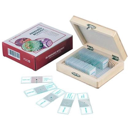 AMSCOPE Microscope 25 Prepared Slide Set with Fitted Wooden Case Brown