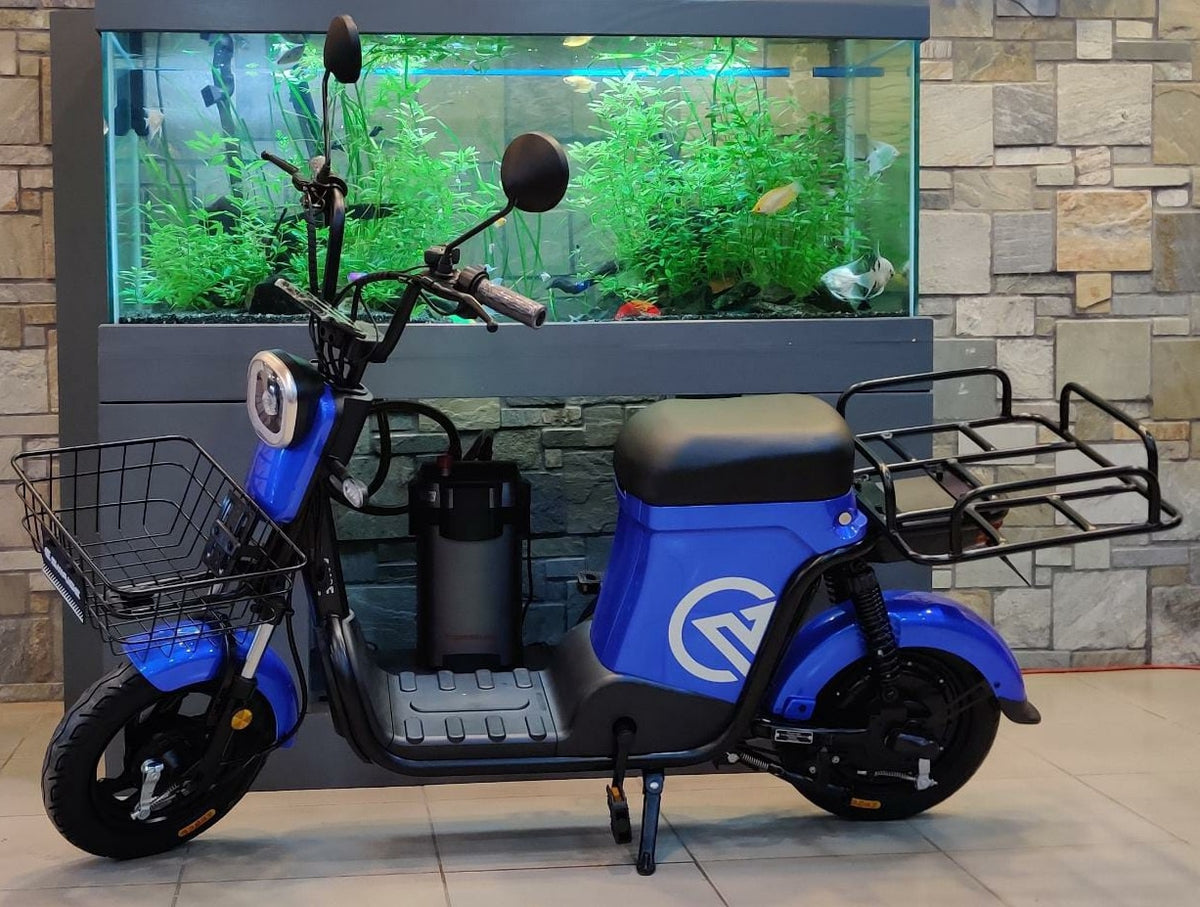 SAIGE Electric Bike Model Sd 20AH Delivery Ebike