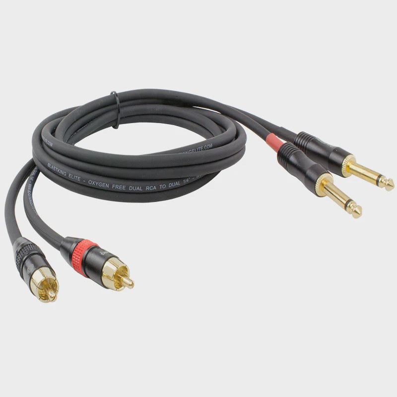 BLASTKING Lead 2 1/4 Male Mono to 2 Rca Male 10' IBKE-C2R2Q-10