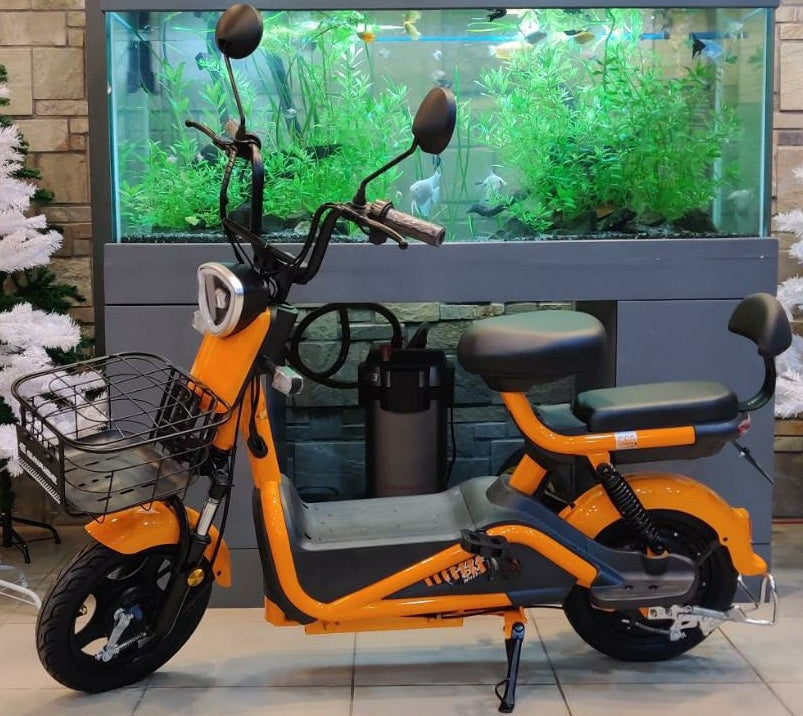 SAIGE Electric Bike Model G60 12AH Ebike