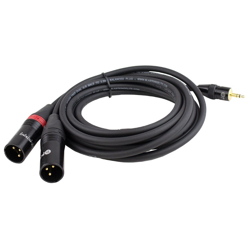 BLASTKING Lead 2 Xlr Male to 1 3.5MM Male Stereo 10' IBKE-C2XLRM35B-10