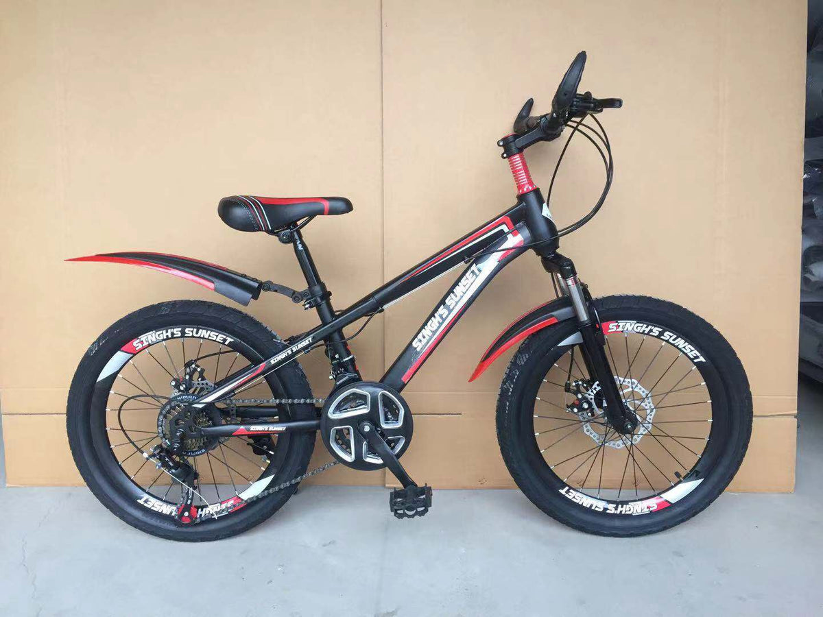 SINGH'S SUNSET Bicycle 20" Singh SS2021 Alloy Spokes Disc