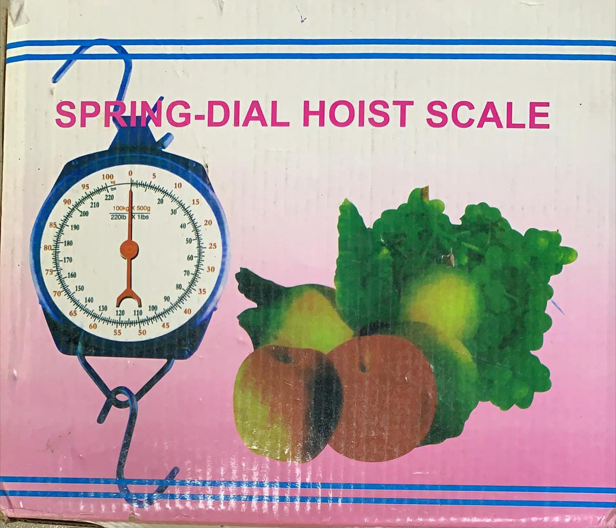 Scale Hanging Spring Dial Hoist 220LBS