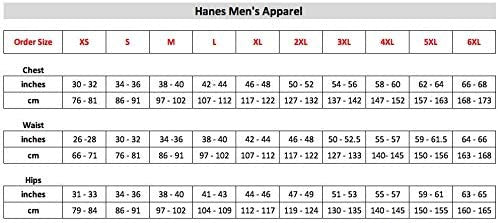 HANES Men T-SHIRT Ash Grey 4PACK