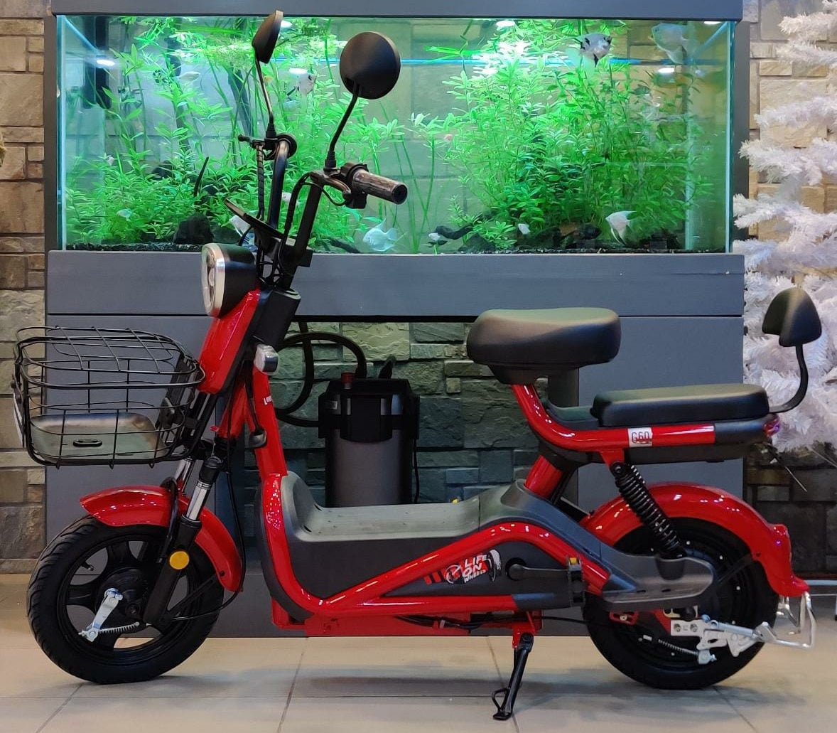 SAIGE Electric Bike Model G60 12AH Ebike