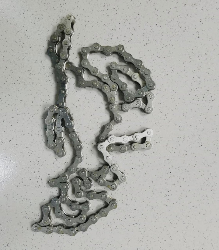 E/BIKE Chain