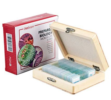 AMSCOPE Microscope 25 Prepared Slide Set with Fitted Wooden Case Brown