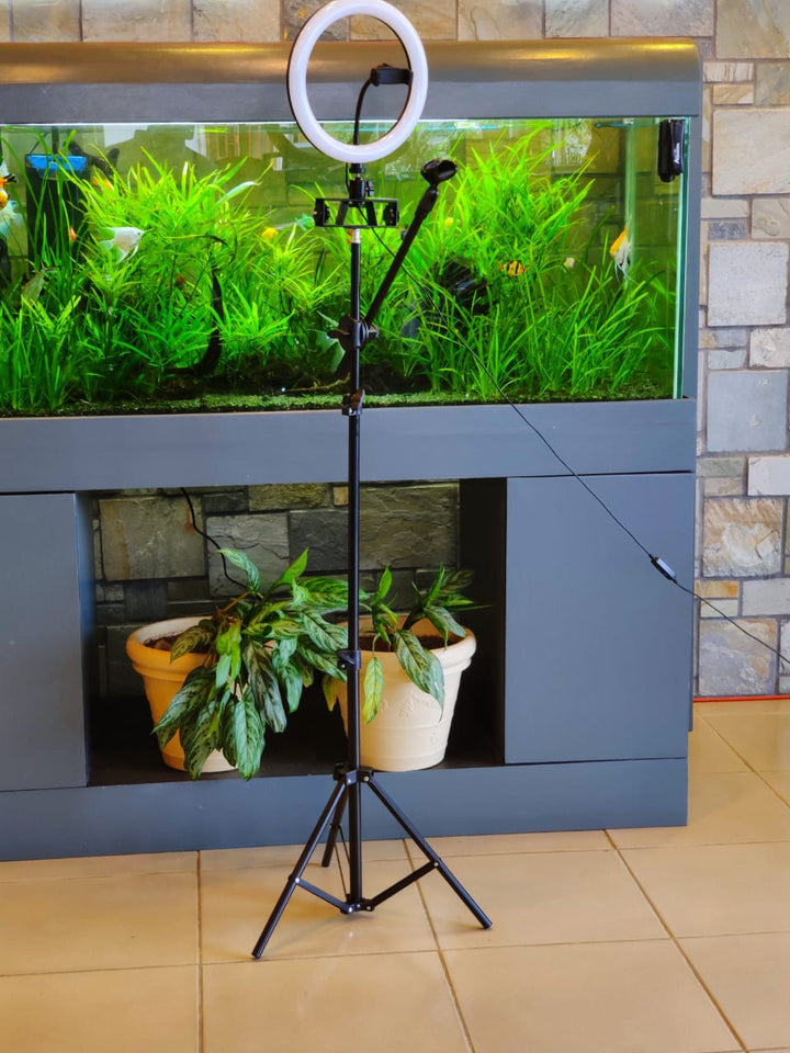 GENERIC LED Ring Light 13" with Tripod Stand