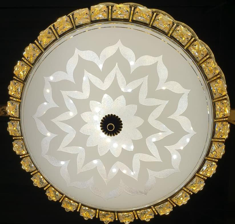 Ceiling Light LED 80011