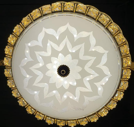 Ceiling Light LED 80011