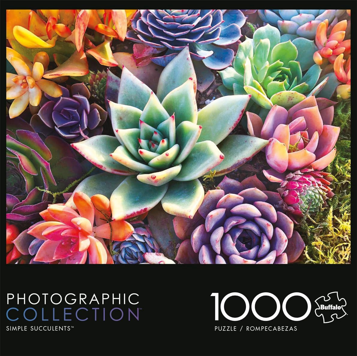 BUFFALO GAMES Puzzle Jigsaw Simple Succulent 1000PCS
