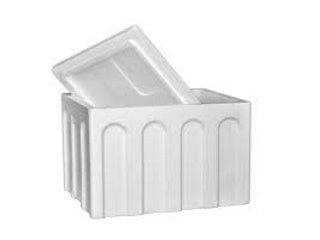 Styrofoam Cooler