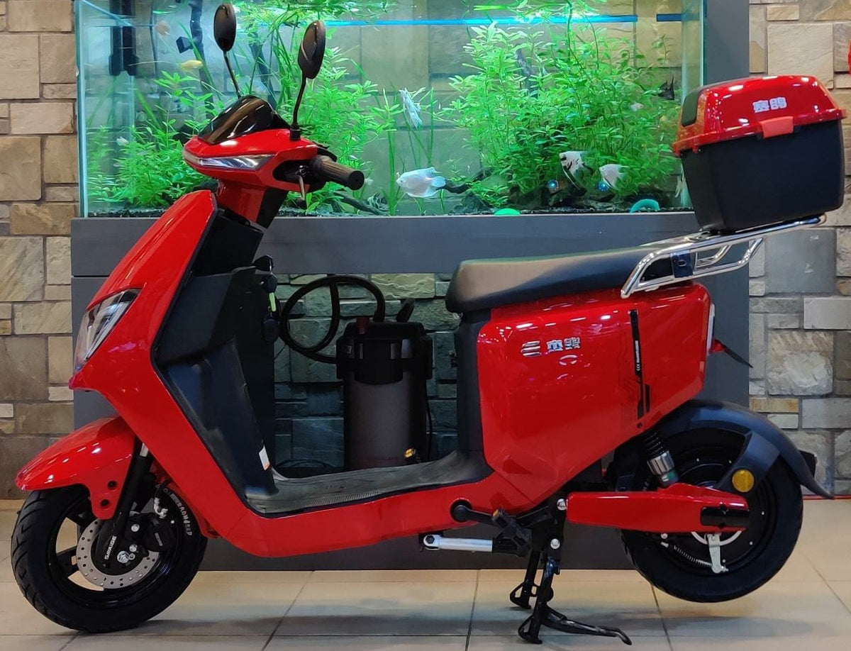 SAIGE Electric Bike Model Lt 20AH Scooter Ebike