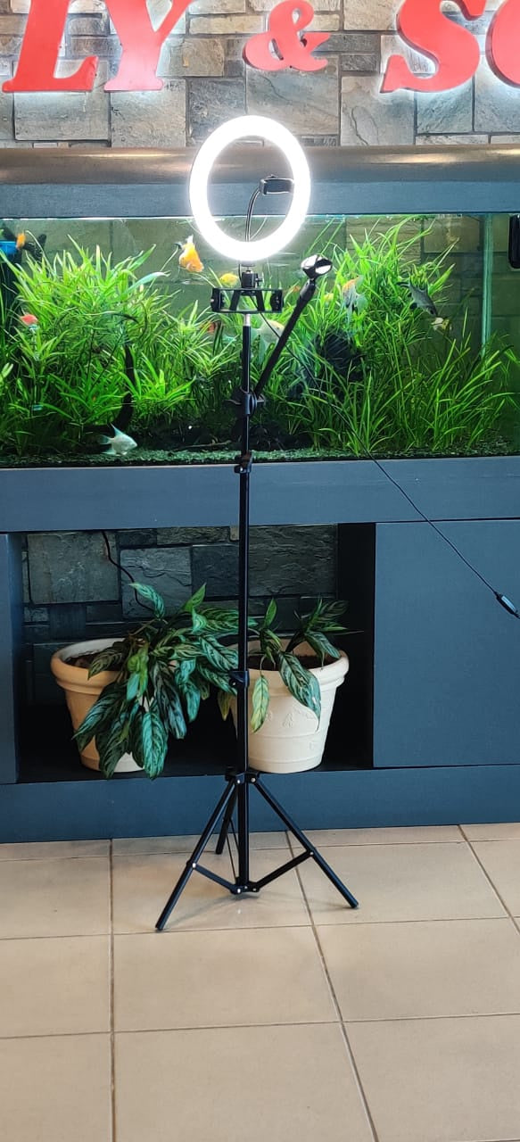 GENERIC LED Ring Light 13" with Tripod Stand