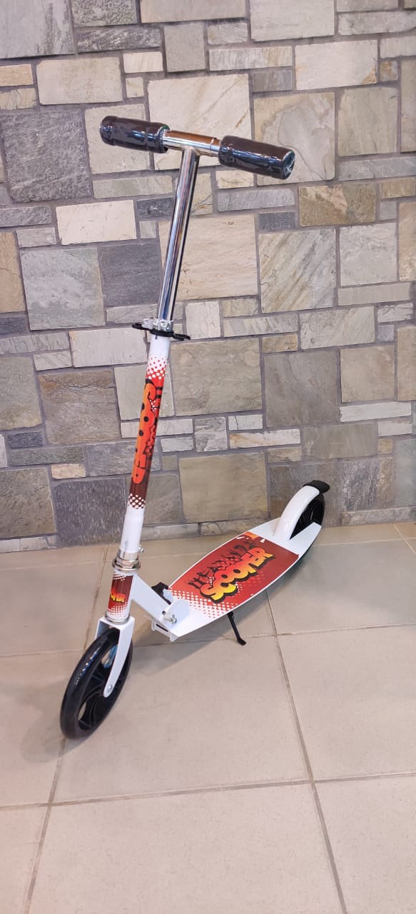 Kids Scooter 2 Wheel 200-C with Stand