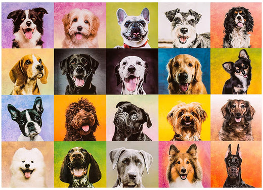 Puzzle Jigsaw 1000 Pcs Dogs