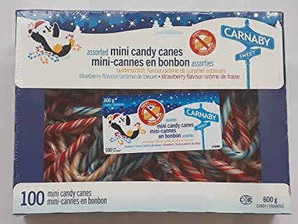 Carnaby Candy Canes Assorted Mini 600G
