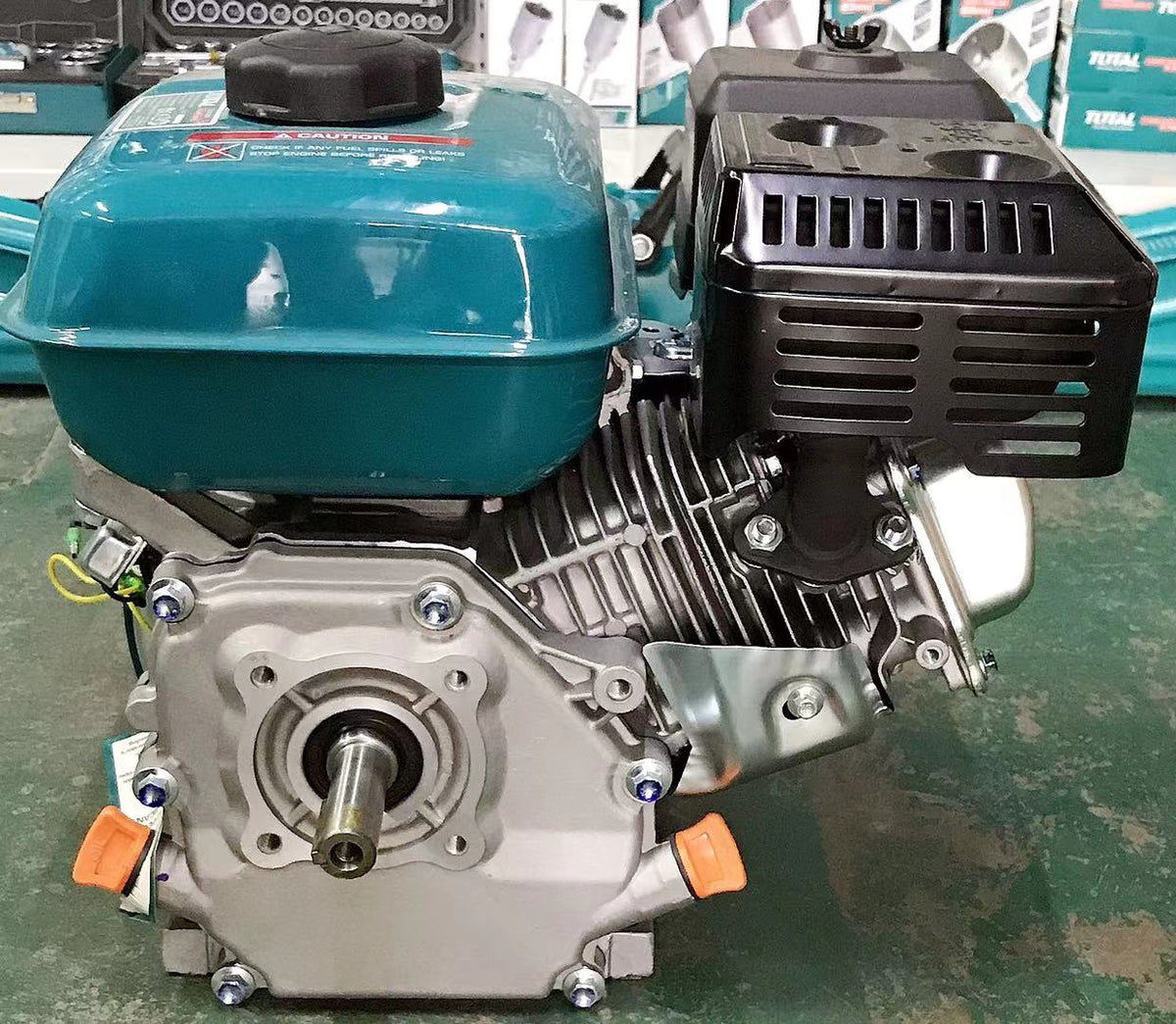 TOTAL Engine Gasoline TGEN16821 6.5HP