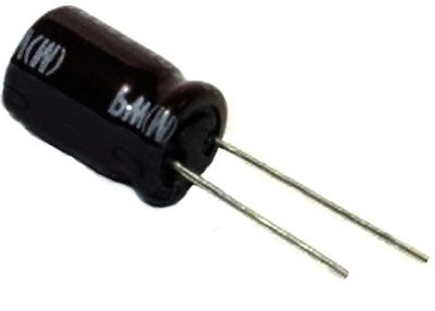 Capacitor 100V 220UF D#267