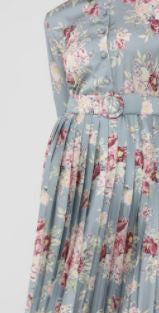 Dress Floral Blue Pleated