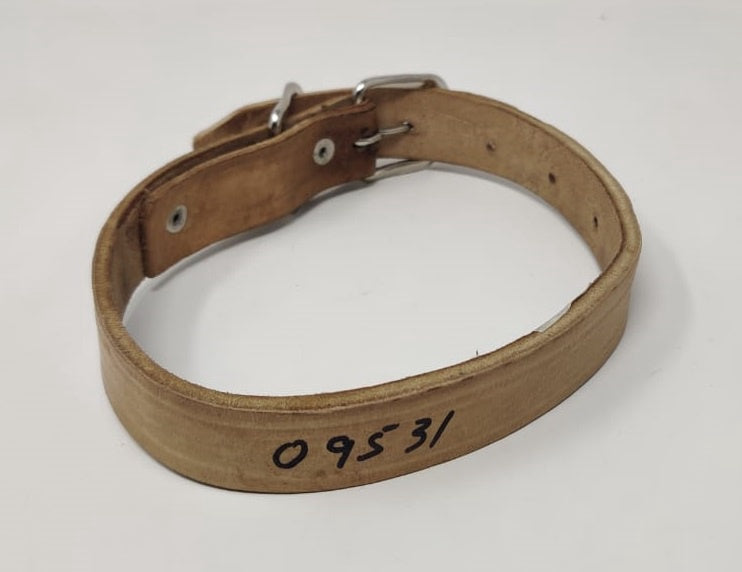Dog Collar Leather 1" X 20"