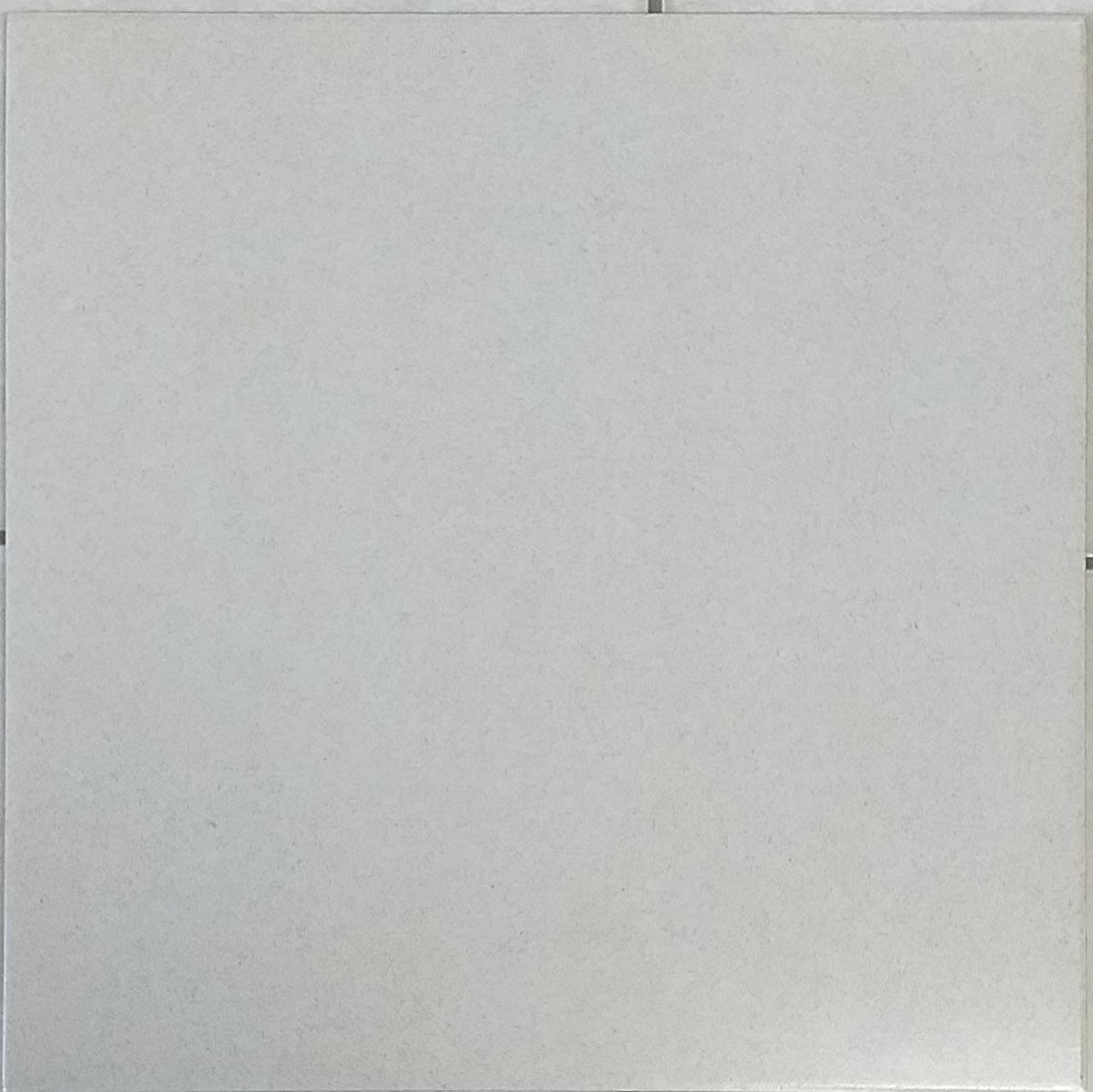 Tile Ceramic 20X20 N/SKID Alicante