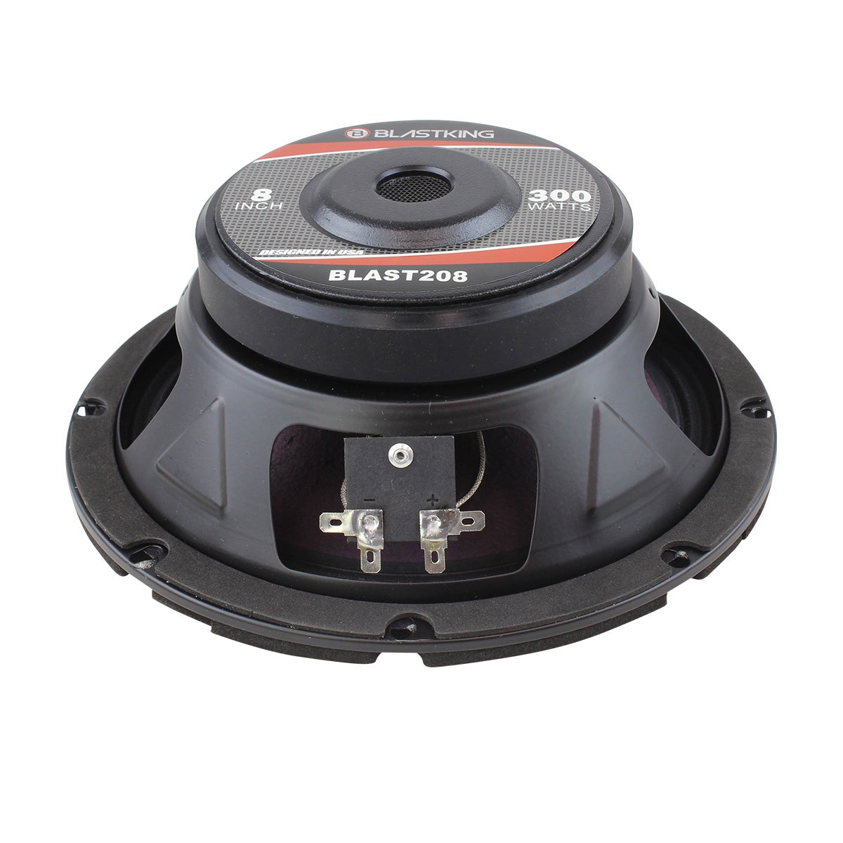 BLASTKING Speaker 8" I75-BLAST208