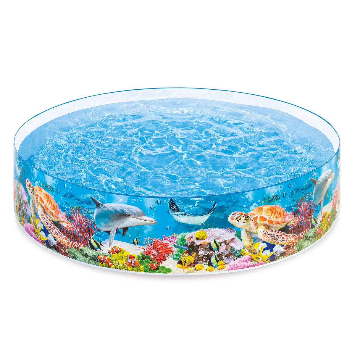 INTEX Pool 58472NP 8' X 1'6"