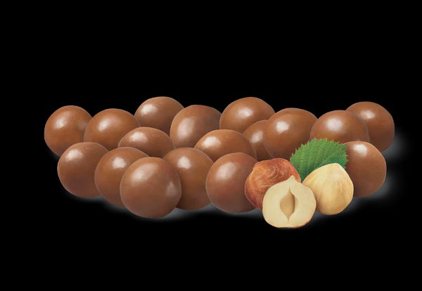WATERBRIDGE Belgian the Chocolate Nut Tree Hazelnuts 150G