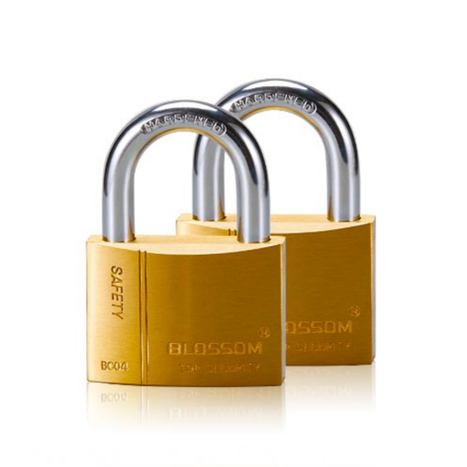 BLOSSOM Padlock 40MM Brass Heavy 2PCS Key Alike GWP-BC-0440X2