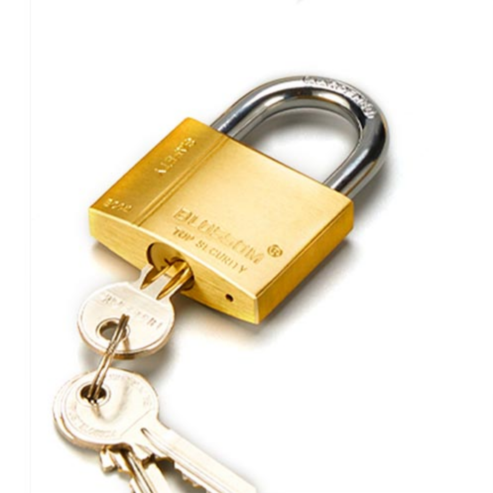 BLOSSOM Padlock 50MM Brass Heavy GWP-BC-0450