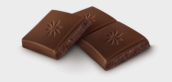WATERBRIDGE Belgian Dark Chocolate 43G