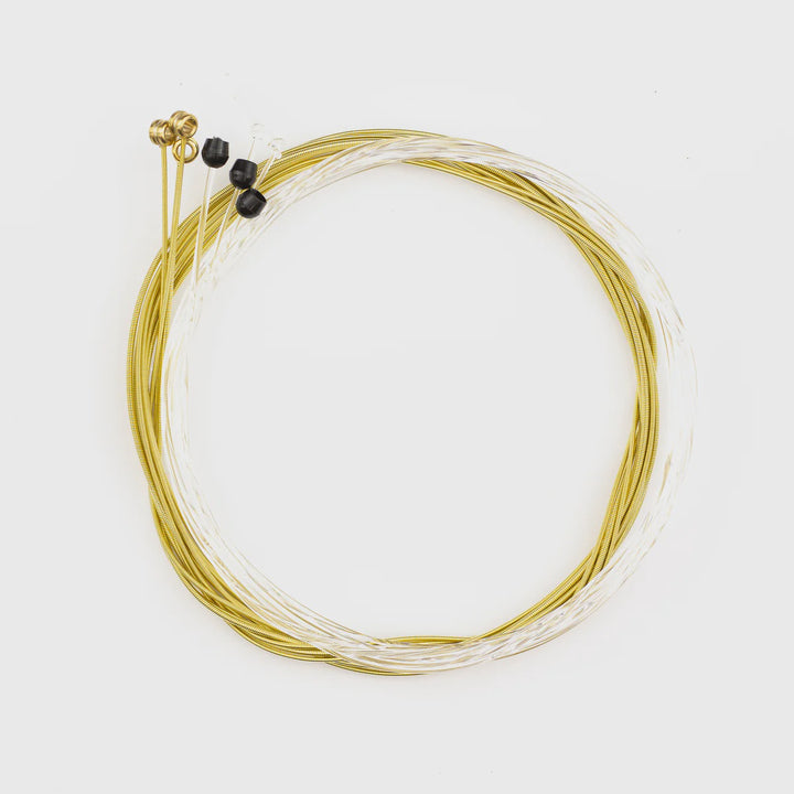 ERNIE BALL Guitar String Earthwood 2069 P02069 28-42 Custom Nylon Classic BALL-END Acoustic 80/20 Bronze Alloy
