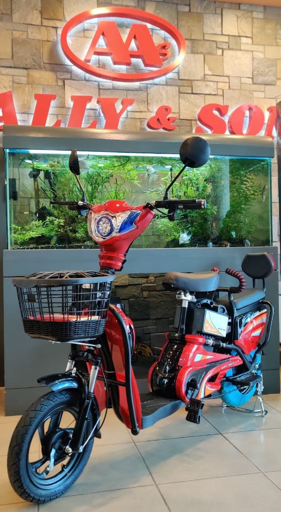 Electric Bike MKL-P1 with Mirrors, Turn Signals, Alarm and Charger