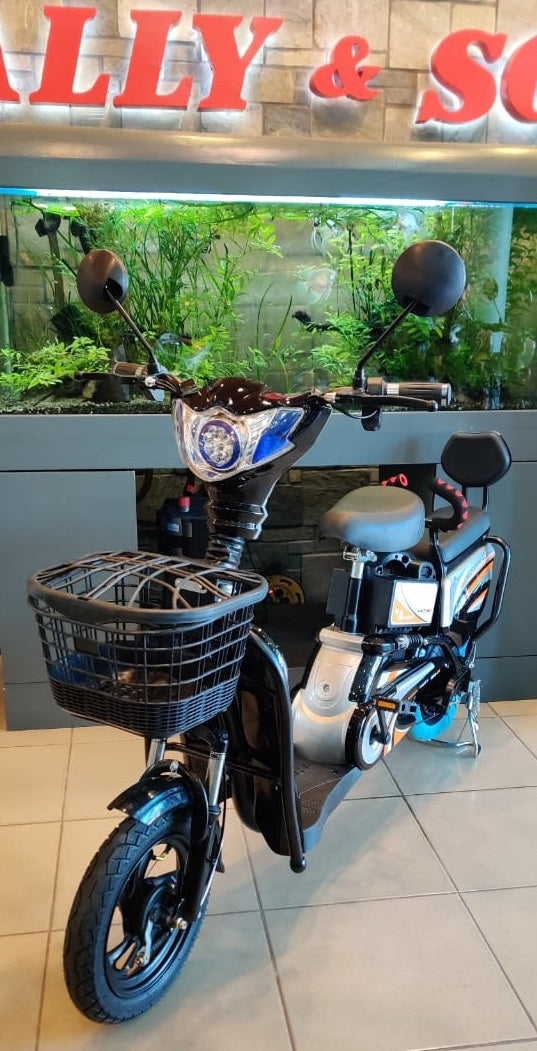 Electric Bike MKL-P1 with Mirrors, Turn Signals, Alarm and Charger