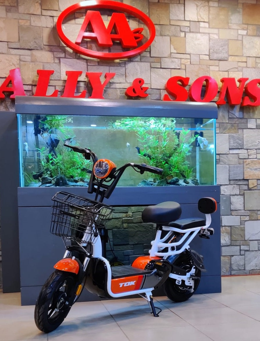 Electric Bike Tok with Charger
