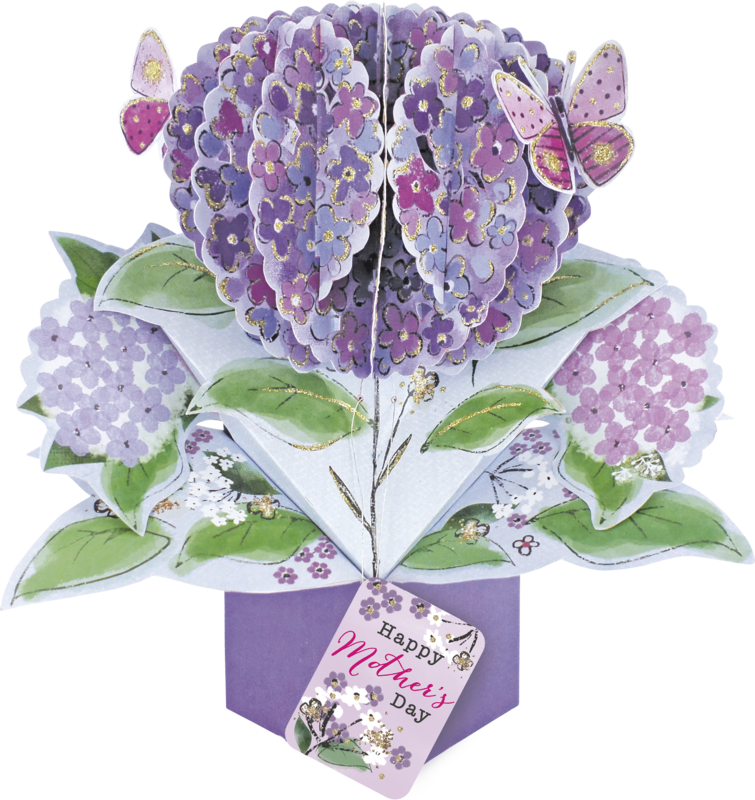 SECOND NATURE LONDON Mother's Day Greeting Card 3D Pop Up Second Nature