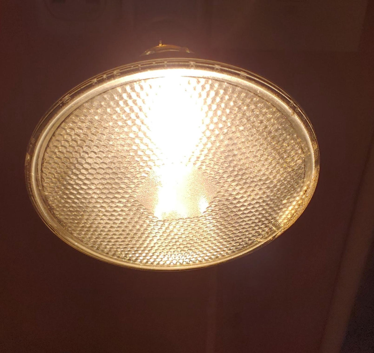 BEST VALUE Bulb Halogen 100W 110V Clear PAR-38