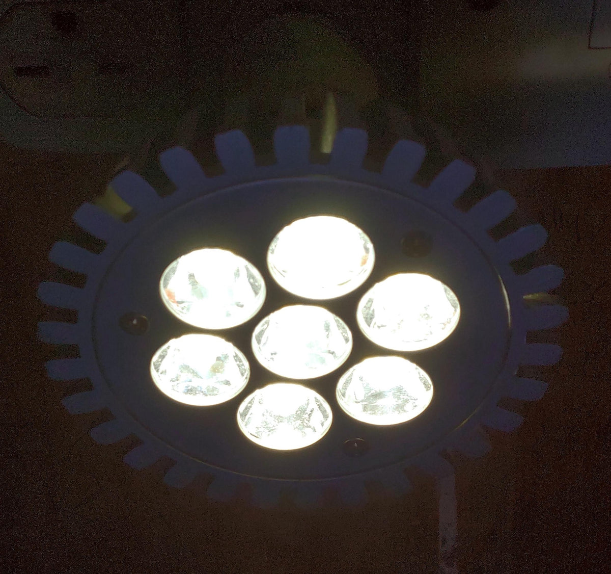 Bulb LED Screw Hokita 7W 110V